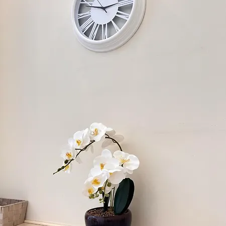 Elegant And Bright Flat In A Quiet Area アパート リガ